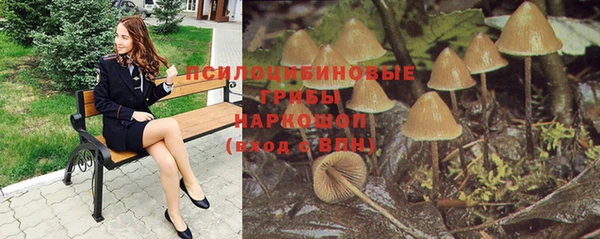 дживик Балахна