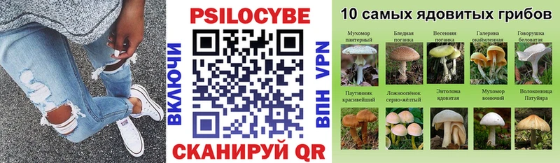 Галлюциногенные грибы Cubensis  магазин продажи   Фрязино 